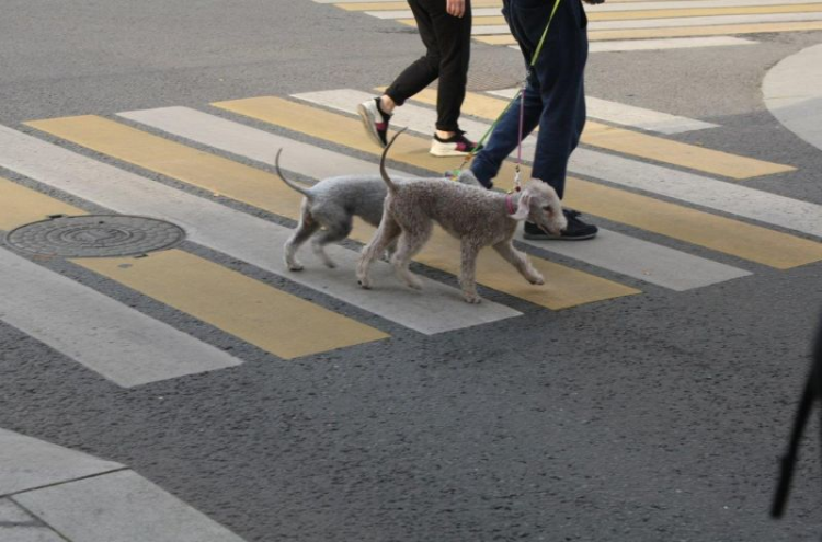 Москва, Большой Козихинский пер., 19/6