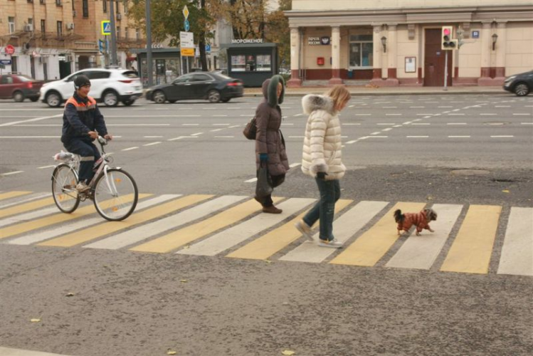 Москва, проспект Мира, 56