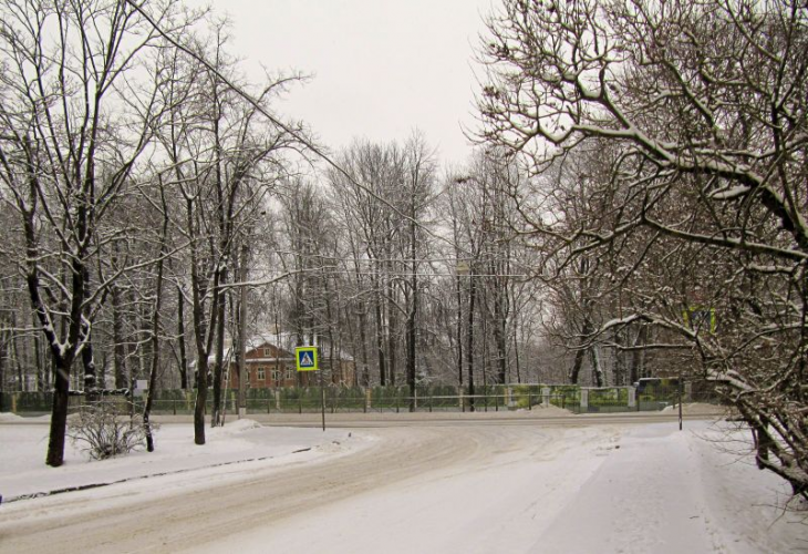 Пушкин, Красной Звезды, 2/7